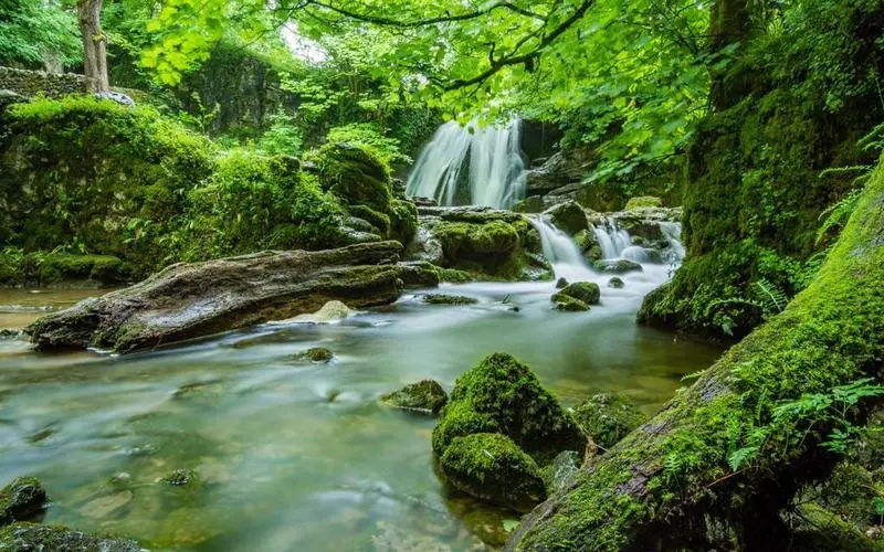 高质量全自动可靠性